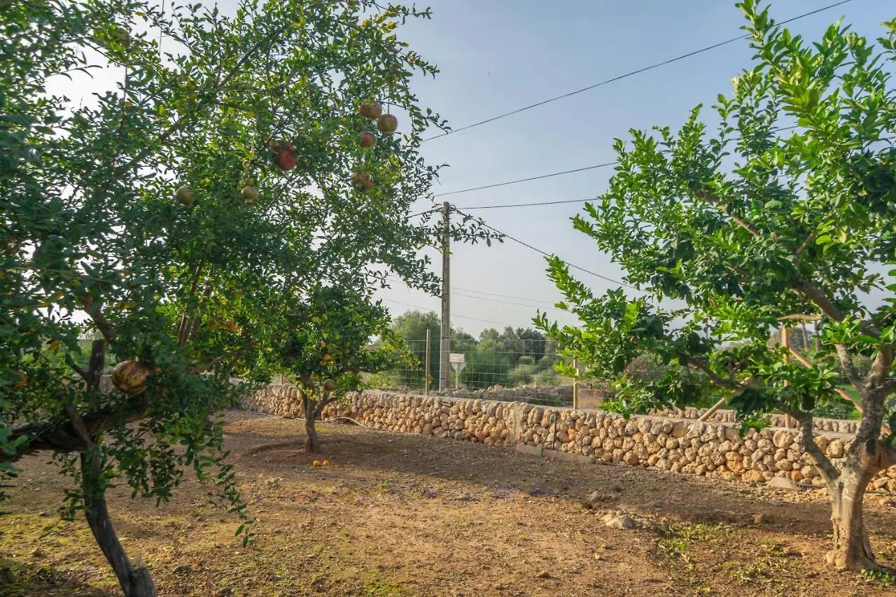 Villa Son Indiot Algaida  Spanien